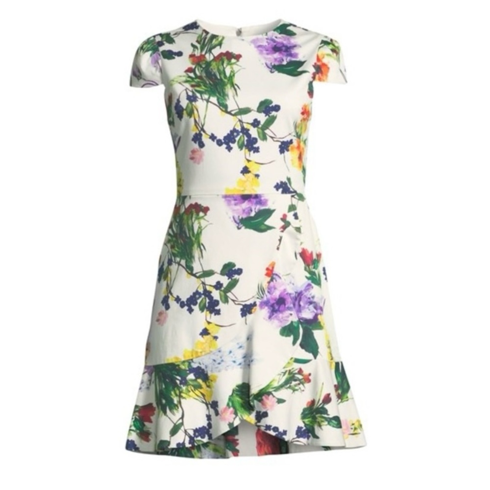 Alice + Olivia Kirby wildflower floral ruffle dress - size 2